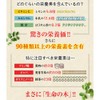 Yae Nadeshiko Moringa Tea Bag 160 g (2 g x