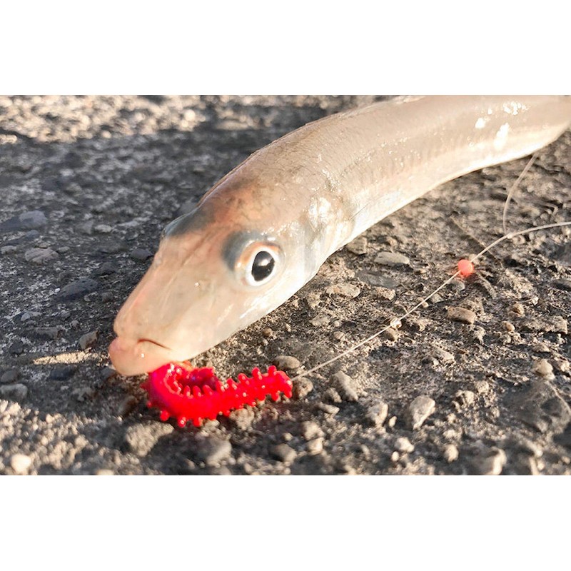 Berkley Gulp! Isome Thick 4 - Jalime (NAT)