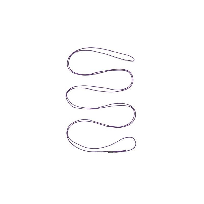 Black Diamond BD14060 10mm Dyenex Runner 240cm Purple