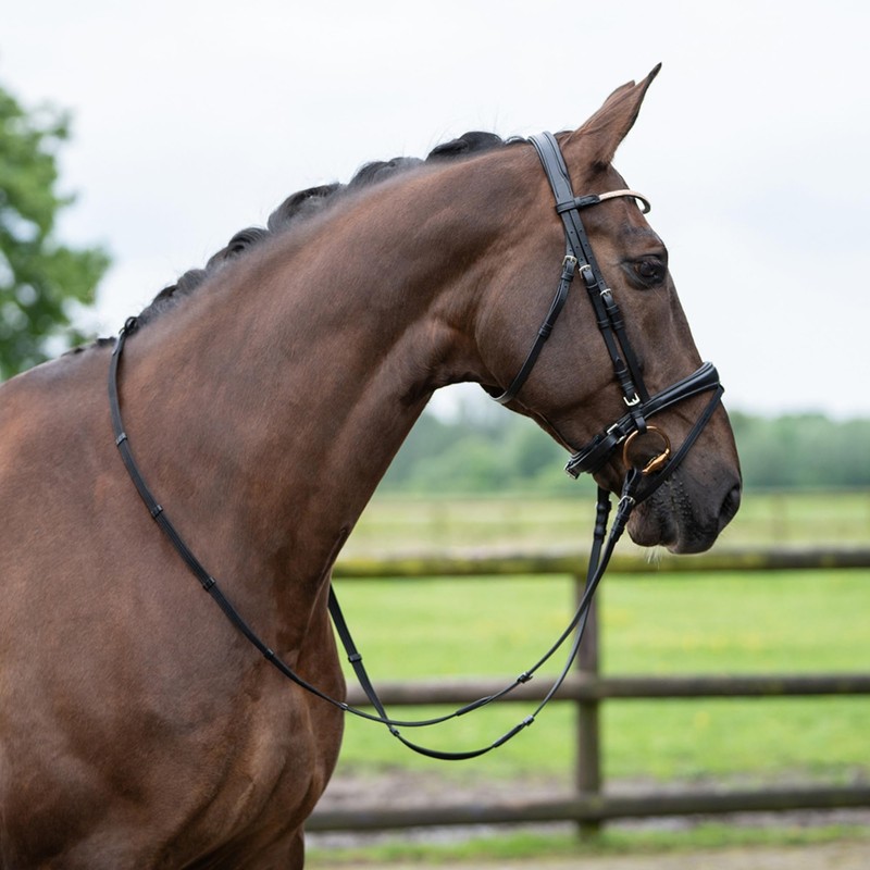 HKM Kopenhagen Trense, Schwarz, Vollblut