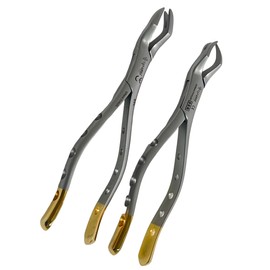 Dental Extracting Extraction Serrated Forceps #151#150#23#88L #88R Set of 5 Universal, Premium Quality Golg Handle, Stainless Steel