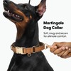 WHIPPY Vegan Leather Dog Collar No Slip Martingale Dog Collar