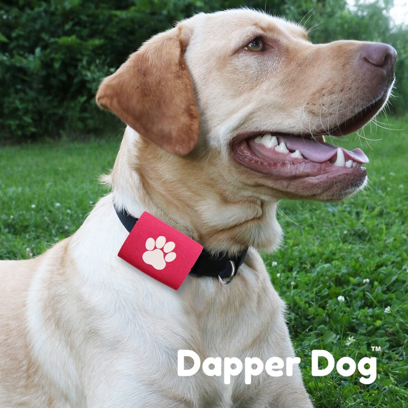 Dapper Dog Pet Tag Silencer and AirTag Holder (Pink with
