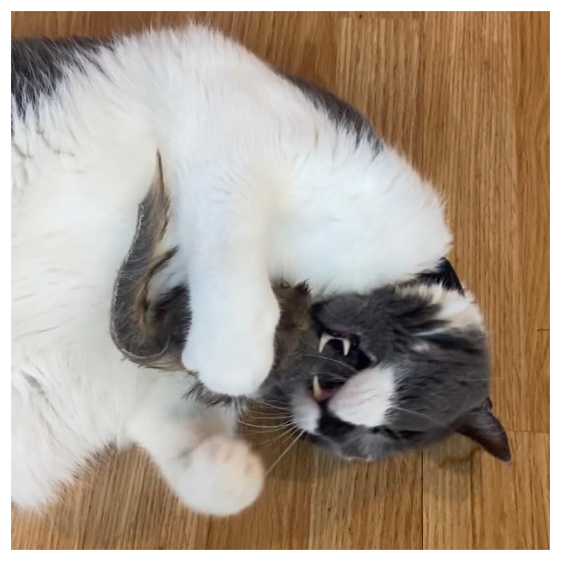 SPOT Shaggy Plush Giant Mouse - Cat Toy, Fuzzy Mice