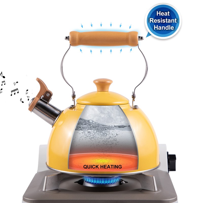 ROCKURWOK Tea Kettle, Tea Pot with Cool Touch Ergonomic Handle,