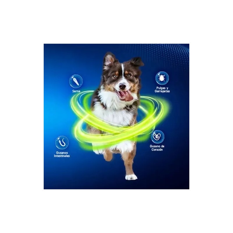 Premio P/ Perro Sp Ectr Ha M1 7.6-15 K Verde