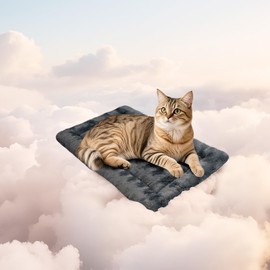 MORA PETS Cat Bed Mat Washable Crate Mattress Warm Puppy Pad Non-Slip Soft Cat Blanket Small Pet Pillow Cushion, 53x33cm, Dark Grey