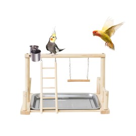 Bird Playground, Natural Wood Bird Perch Stand with Removable Tray and 2 Stainless Steel Feeder Cups, Parrot Playstand Bird Cage Toys for Conure Parakeet Cockatiel Parrot (B)