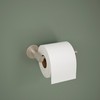 Peerless PA147-BN Precept Toilet Paper Holder, SpotShield Brushed Nickel