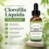 Suplemento De Clorofila Líquida Con Gotero Diario En Gotas