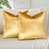 OTOSTAR Pack of 2 Velvet Soft Decorative Throw Pillow Covers