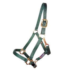 Schneiders Dura-Tech 1" Economy Nylon Halter for Horses | Double-Ply Webbing | Adjustable Fit with Throat Snap | Brass-Plated Hardware | Everyday Barn Use | Color Green | Size Full Size