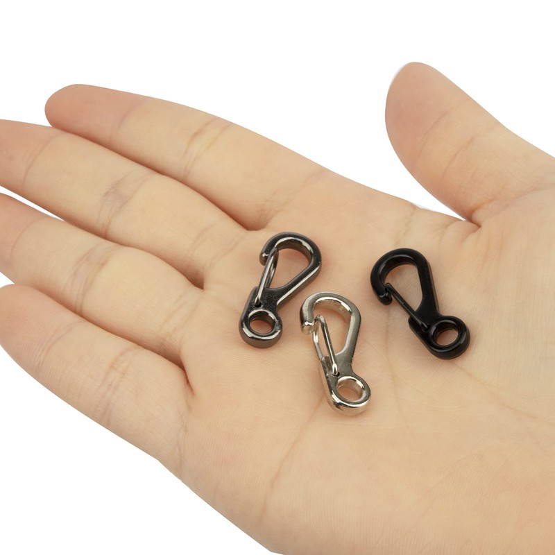 TEMLUM Carabiner, Small, Mini Shape, Set of 10, Mini Carabiner,