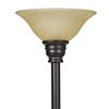 Catalina 18223-002 Transitional Metal Uplight Floor Lamp with Reading Light