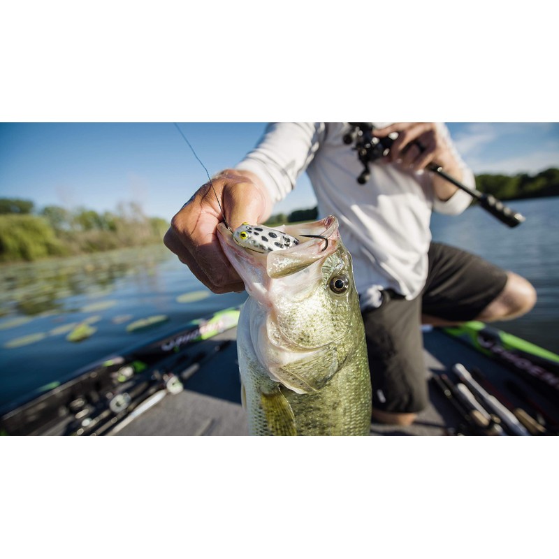 Berkley PowerBait Buzz'n Speed Toad Fishing Soft Bait, Chartreuse/White, 4