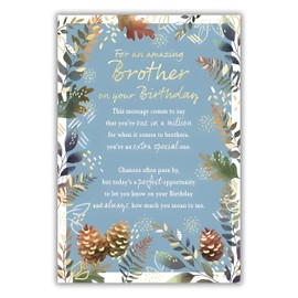 IC&G Amazing Brother Birthday Card - Happy Birthday Card with Sentimental Poem and Pinecone Border Design with Foil Details - Birthday Card for Men or Boys