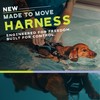 FitPAWS Made to Move No-Pull Harness | Adjustable Fit |