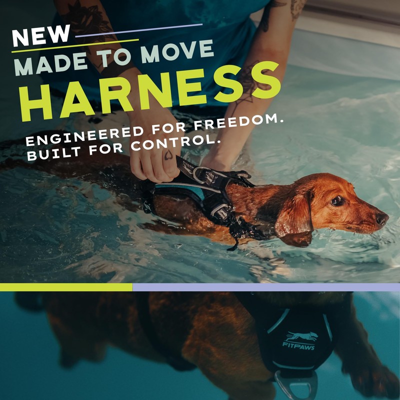 FitPAWS Made to Move No-Pull Harness | Adjustable Fit |