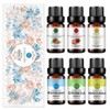 RAINBOW ABBY 6-Pack Orangic 100% Pure Essential Oil Set (Peppermint,