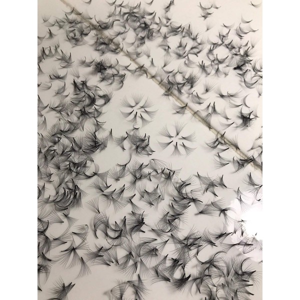 LASH BY HOLLY 12D PREMADE (HAND MADE) FAN LASHES (500