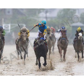 SPORTSPHOTOSUSA American Pharoah Preakness Stakes Triple Crown Winner 8x10 Photo