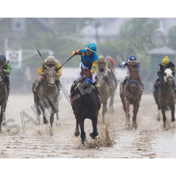 SPORTSPHOTOSUSA American Pharoah Preakness Stakes Triple Crown Winner 8x10 Photo