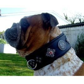 Lederecke Konstanz Celtig Dogs Collar XXL 6.5 cm Wide for Strong and Strong Dogs Neck Circumference 57-59 cm