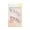 Yuzu Nail Nail Tip 367 / Cocoa Gradation (10 Tips)