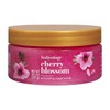 Exfoliante Corporal Bodycology Sweet Love 297 gr