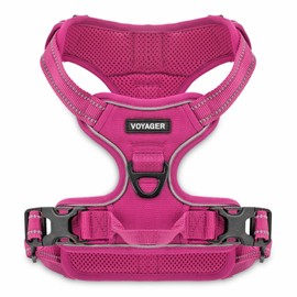 Voyager Voyager No Pull Dog Harness for Medium Dogs, Dual Leash Attachments, Adjustable Soft but Strong Pet Harness with 3M Reflective Technology, Fuchsia Nylon, M (Chest: 20-25")