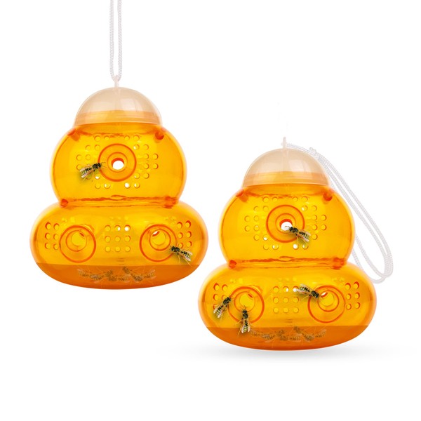 Aspectek Wasp Trap - Wasp Catcher, Bee Trap, Yellow Jacket Traps, Fruit Fly Trap, Hornet Trap, Indoor, Outdoor, Hourglass-Shaped