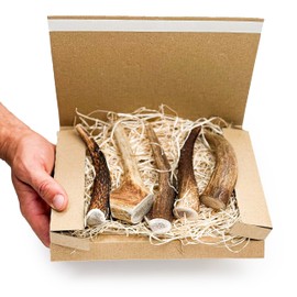 Antler Chew Antler Dog Chews Box of 5 Small (50–70g, From 12cm) | Naturally Shed & Sanded | Long-Lasting, Odourless Chew for small breeds | Supports Dental Health