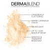 Dermablend 더마블렌드 루즈 세팅 파우더 페이스 메이크업 및 마무리 파우더로