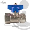 tecuro Ball Valve with Union Nut Rp 3/4 Inch x