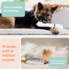 Suitical Recovery Sleeve for Dogs | Front Leg Protection After