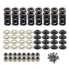 ISINFLASH LS .660" Dual Valve Spring Platinum Kit with Retainers