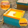 Aetwhy Beehive Top Feeder for Feeding Sugar Water Apiary Equipment