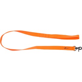 Avery Standard Leash-Blaze Orange
