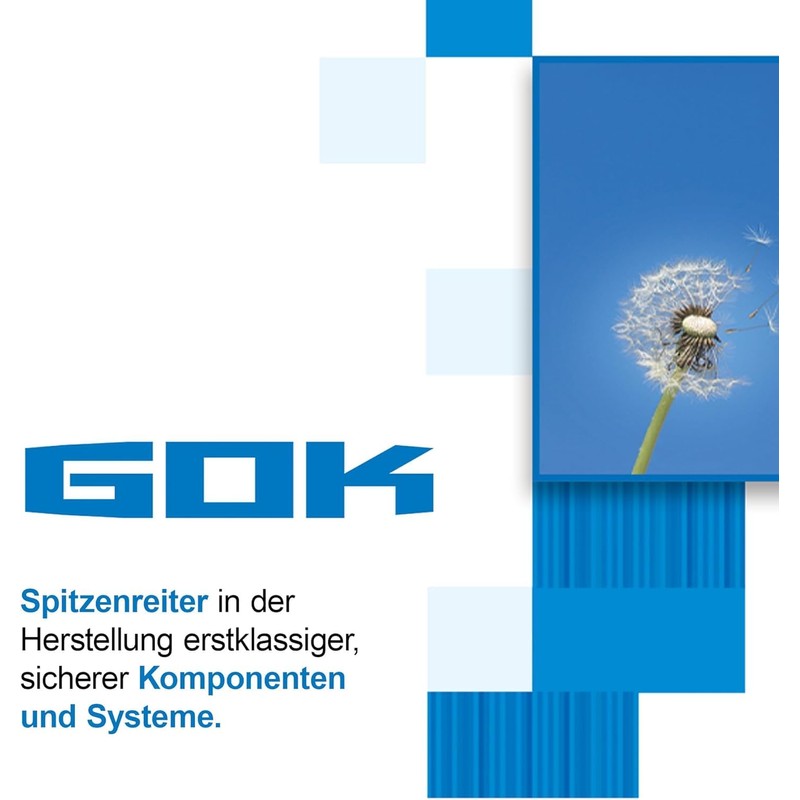 GOK Caravan Regulator 30 mbar 1.2 kg/h