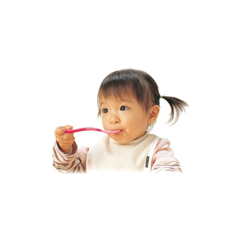Richell Lunch Baby Food Spoon Set with case