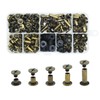 JINTANG 100 Set Chicago Book Screws, 4/6/8/10/15 mm, Binding Screws