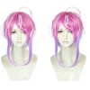 Heat Resistant Cosplay Wig, Second Castle, Random Amemura Wig, Wig,
