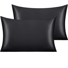 NTBAY 2 Pack Satin Queen Pillowcases for Hair and Skin, Luxurious and Silky Pillow Cases with Envelope Closure, 20x30 Inches, Black