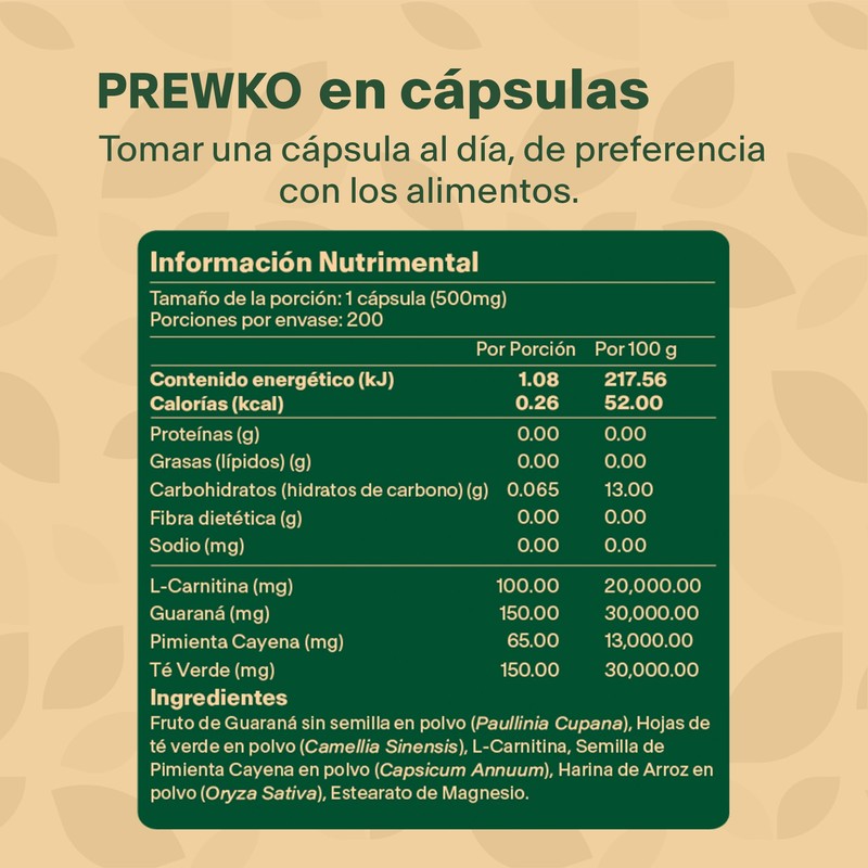 Pre Workout con L Carnitina + Cafeína + Guarana +
