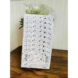 MAC 10 X MAC PREP + PRIME FIX SETTING SPRAY Carded Samples 0.08oz Sealed