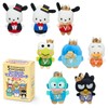 Sanrio 361143 Secret Mascot Brooch (Okigae Design) Perfect