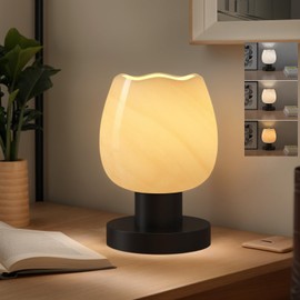 NENRENT Modern 3-Color Temperature Bedside Table Lamp for Bedroom, Small Bedroom Lamp with Flower Glass Lampshade for Nightstand Lighting, Living Room, Kids Room, Office, Bookshelf Home Decor Gift