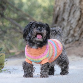 Huskimo Dog Jumper Soho Knit Sherbert 22cm – Soft Dog Sweater, Stretch Fit, Machine Washable, Winter Dog Clothing, 6 Sizes