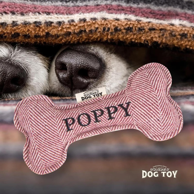 History & Heraldry Squeaky Dog Toy (Poppy)