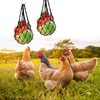Pack of 2 Chicken Feeder Mesh Bag Chicken Toy Accessories